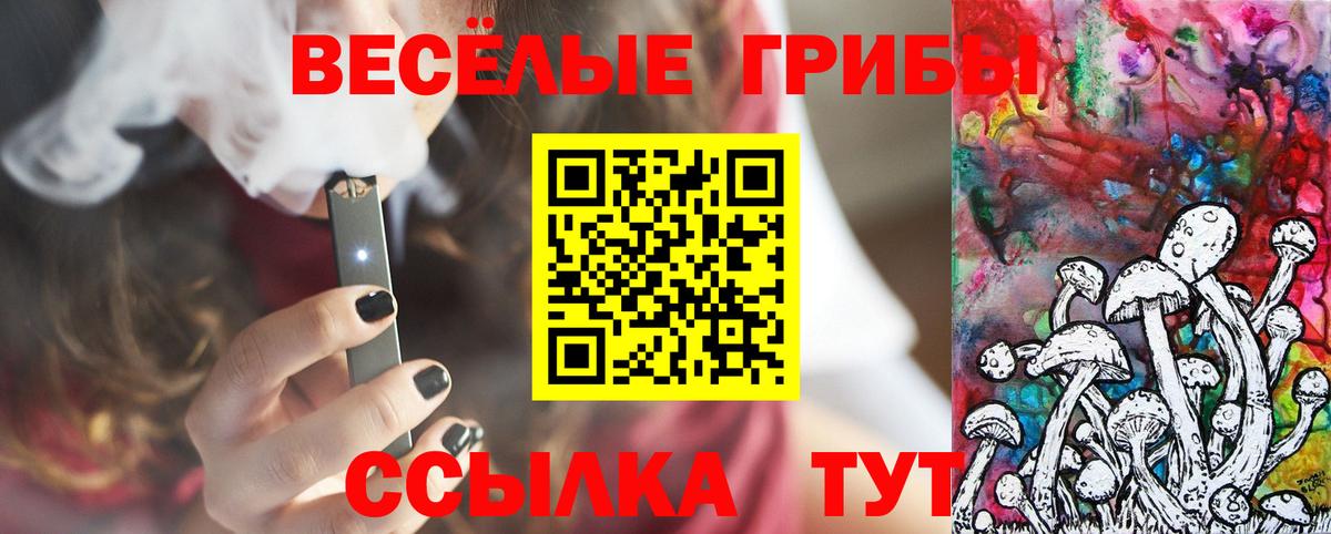 Псилоцибиновые грибы мицелий Стрежевой