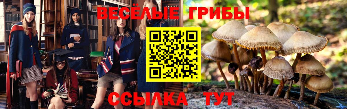 Стрежевой  Галлюциногенные грибы Psilocybe  Псилоцибиновые грибы MAGIC MUSHROOMS  дарнет шоп  Вход с VPN 